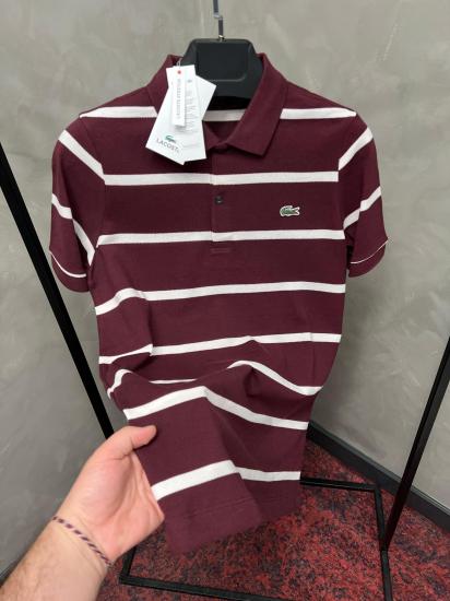 Erkek Normal Fit Polo Yaka T-shirt 8078BD